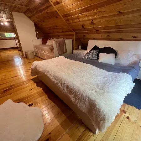 Ranczo Wilkowyja Holiday home *