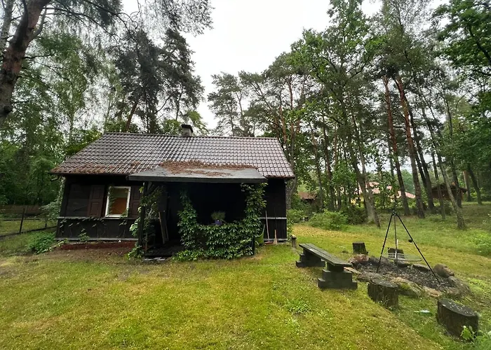 בית נופש Ranczo Wilkowyja *