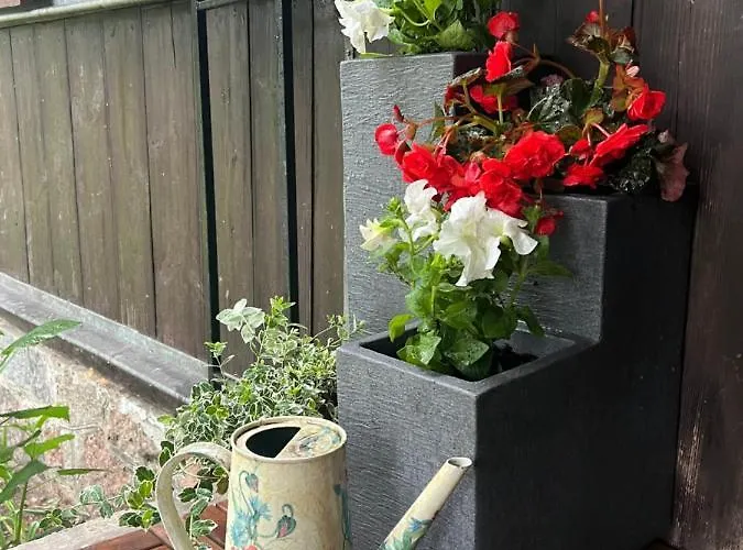 בית נופש Ranczo Wilkowyja *